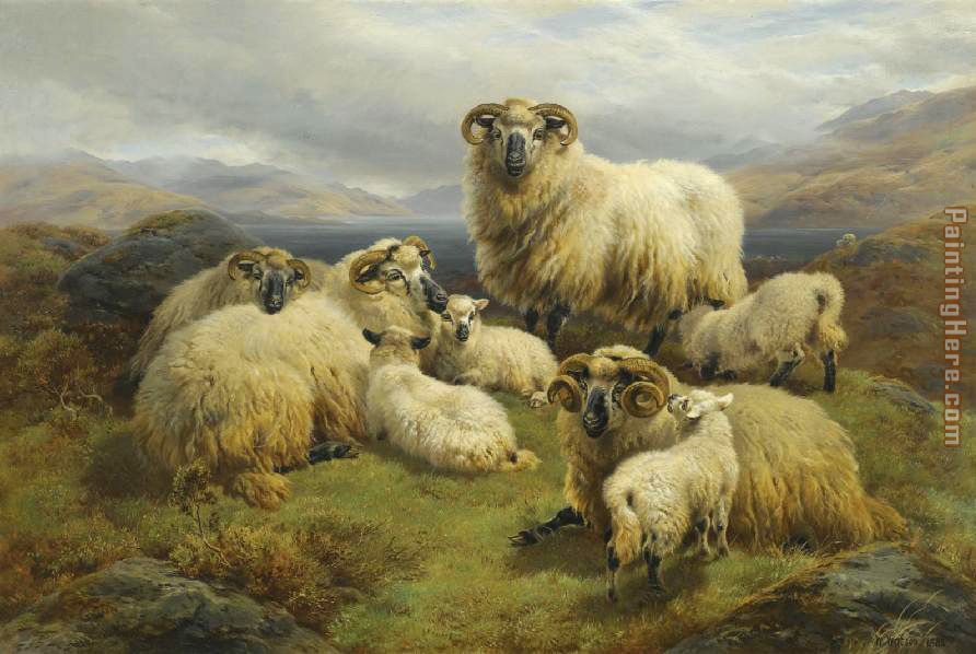 Unknown Artist Sheep in the Highlands